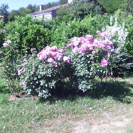 L'Ancien Patronage Guest House Caumont-sur-Garonne Bagian luar foto
