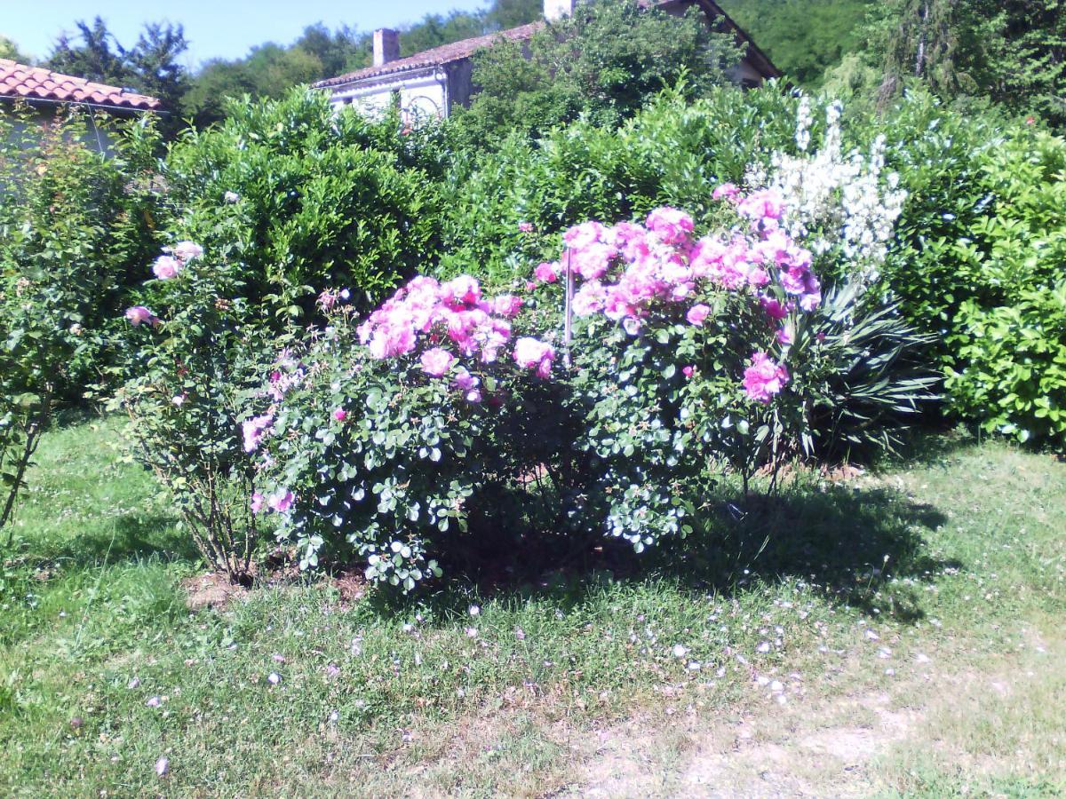 L'Ancien Patronage Guest House Caumont-sur-Garonne Bagian luar foto