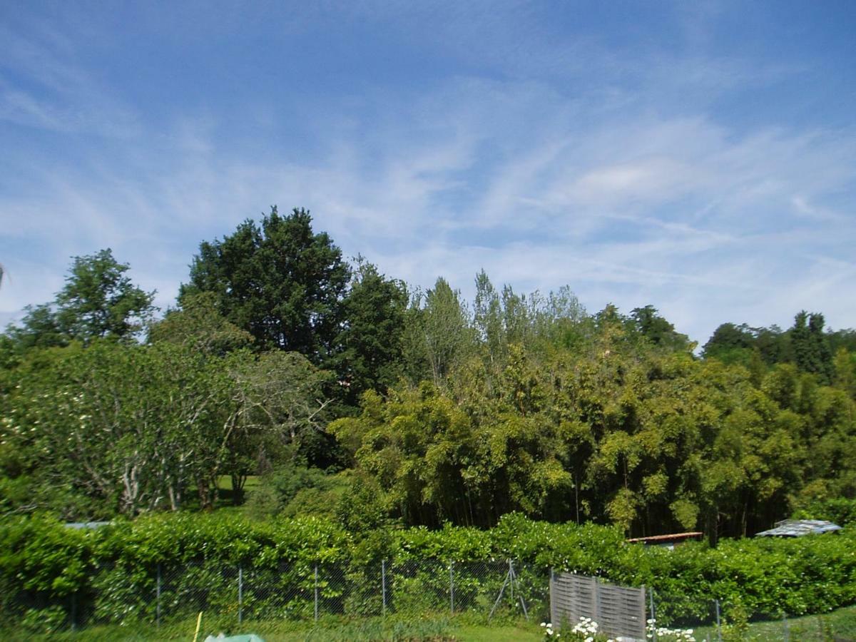 L'Ancien Patronage Guest House Caumont-sur-Garonne Bagian luar foto