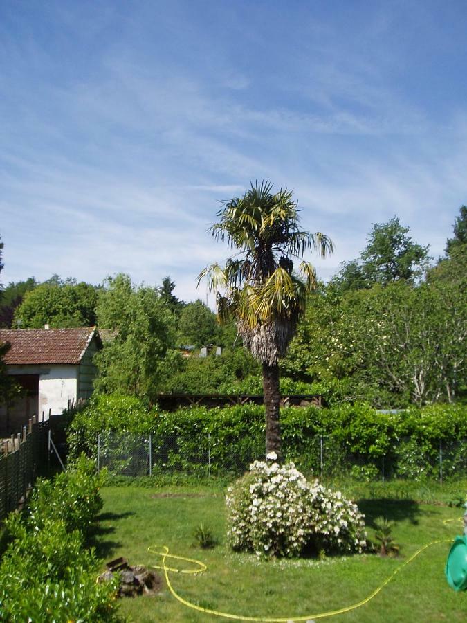 L'Ancien Patronage Guest House Caumont-sur-Garonne Bagian luar foto